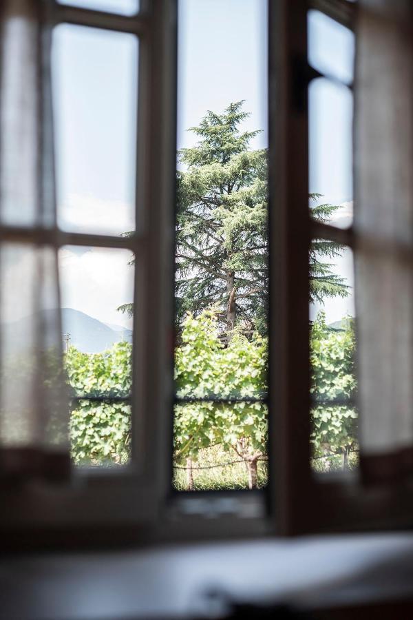 Weingut Kornell - Schafferhaus Cosmas Und Zeder Διαμέρισμα Terlano Εξωτερικό φωτογραφία
